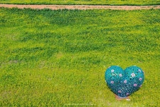 2019서울장미축제 일정표(중랑천 서울장미공원)자전거 라이딩 추천