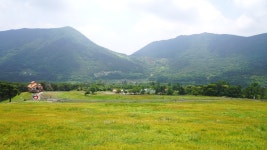 전남 광주근교 가볼만한곳 화순 무등산 양떼목장