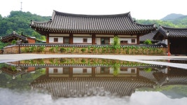 전남 여름피서지 추천,1박2일 화순 아쿠아나 (화순국화향연)