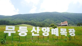 전남 여름피서지 추천,1박2일 화순 아쿠아나 (화순국화향연)