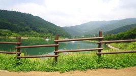 전남 여름피서지 추천,1박2일 화순 아쿠아나 (화순국화향연)