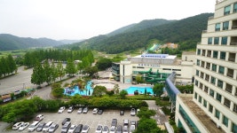 전남 여름피서지 추천,1박2일 화순 아쿠아나 (화순국화향연)