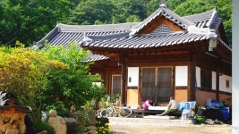 전남 여름피서지 추천,1박2일 화순 아쿠아나 (화순국화향연)