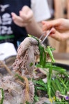 고양시청맛집 윤식당 능이오리백숙 끝내줘