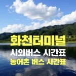 화천시외버스터미널(공영.농어촌버스)시간표/동서울.춘천에서 출발 시간표 화천 관광명소