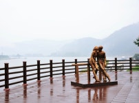 화천시외버스터미널(공영.농어촌버스)시간표/동서울.춘천에서 출발 시간표 화천 관광명소