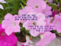 이승헌 발송 좋은글 - 내마음