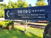 중부 공원 녹지사업소_노원구 가볼만한곳 서울 경춘선 숲길