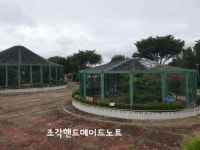 군산여행 (초원사진관 /금강철새조망대)