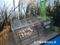군산여행 (초원사진관 /금강철새조망대)