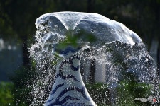 양수리 세미원에서~