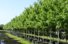 가을이 오면 생각나는 사람