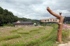 가을 향기 찾아 떠난 1박2일 영주와 봉화여행