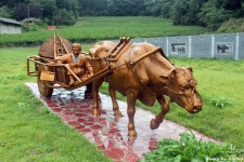가을 향기 찾아 떠난 1박2일 영주와 봉화여행