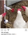 과묵한 이