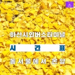 아산시외버스터미널(온양) 시간표/예매/첫차.막차-동서울에서