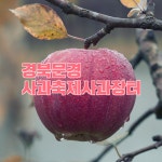 10월 경북 축제 문경 사과축제(사과장터) 문경 가을 여행지 추천