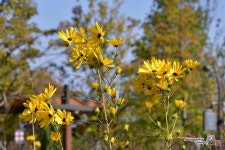손짓하는 아름다운 계절