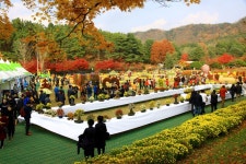 청남대 국화축제 충북 가을축제(청주시 문의면) 2019, 10월 19일~11월 10일까지