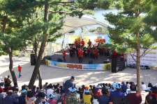 청남대 국화축제 충북 가을축제(청주시 문의면) 2019, 10월 19일~11월 10일까지