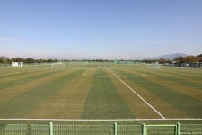 코스모스와 함께 가을에 걷기 좋은 길, 을숙도