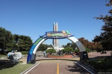 코스모스와 함께 가을에 걷기 좋은 길, 을숙도