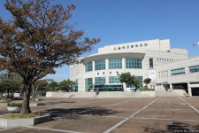 코스모스와 함께 가을에 걷기 좋은 길, 을숙도