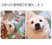 그래 니가 행복했으면 됐어....