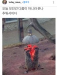 모인이유