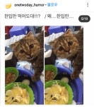 한입만