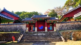 전남 섬여행지 추천 완도관광(고금도 충무사. 약산도 고금유자단지)