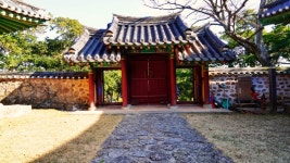 전남 섬여행지 추천 완도관광(고금도 충무사. 약산도 고금유자단지)