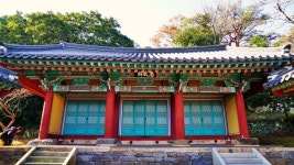 전남 섬여행지 추천 완도관광(고금도 충무사. 약산도 고금유자단지)