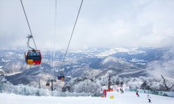 용평리조트 셔틀버스 이용 방법, 서울. 경기도. 강원도(시외버스)시간표