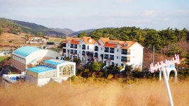 안면도펜션 온수풀.수영장.핑크뮬리.오션뷰.일출.일몰-지중해아침펜션