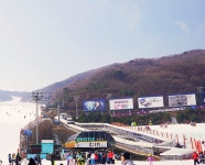 곤지암리조트 렌탈샵-라이클 추천 몬스터스노우 리프트권