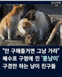 친구들