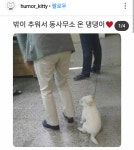 동사무소 간 댕댕이