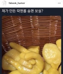 락앤롤 송편 ㅋㅋ