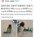 착한마음