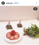 거북 생일