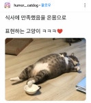 옴 몸으로 표현