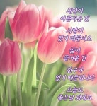 좋은하루