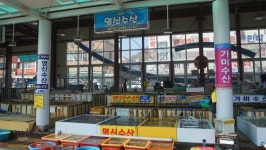 묵호 어시장
