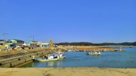 충남 태안 드라이브코스 드르니항 대하랑꽃게랑(코로나19)