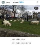 산양