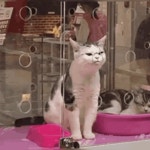 바깥 공기가 상쾌하구냥