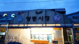 광주가볼만한곳 양동시장 인심 가득한 새벽시장(동서울 심야버스)
