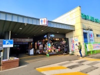 횡성휴게소 맛집, 이중섭 작품 화장실(강릉방향)