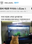 수족관